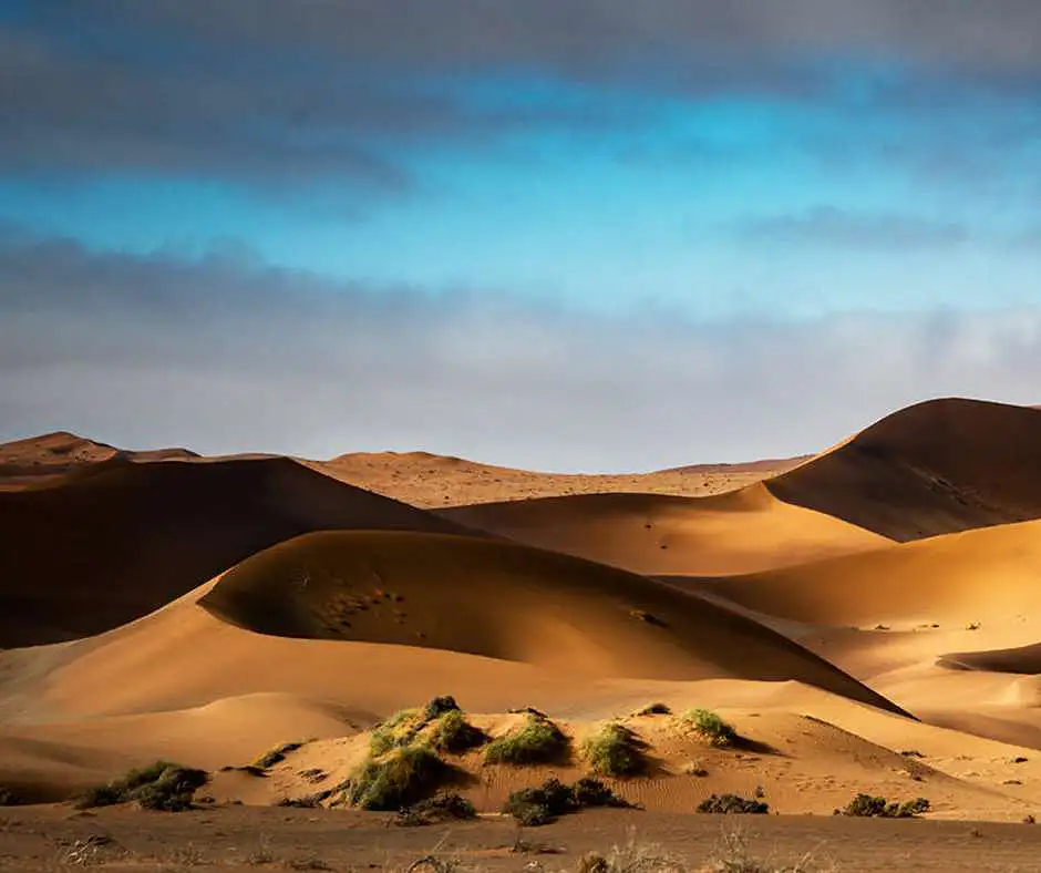 wahiba-sands-deserto-oman-tour